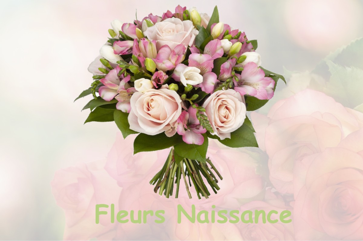 fleurs naissance MARCILLOLES