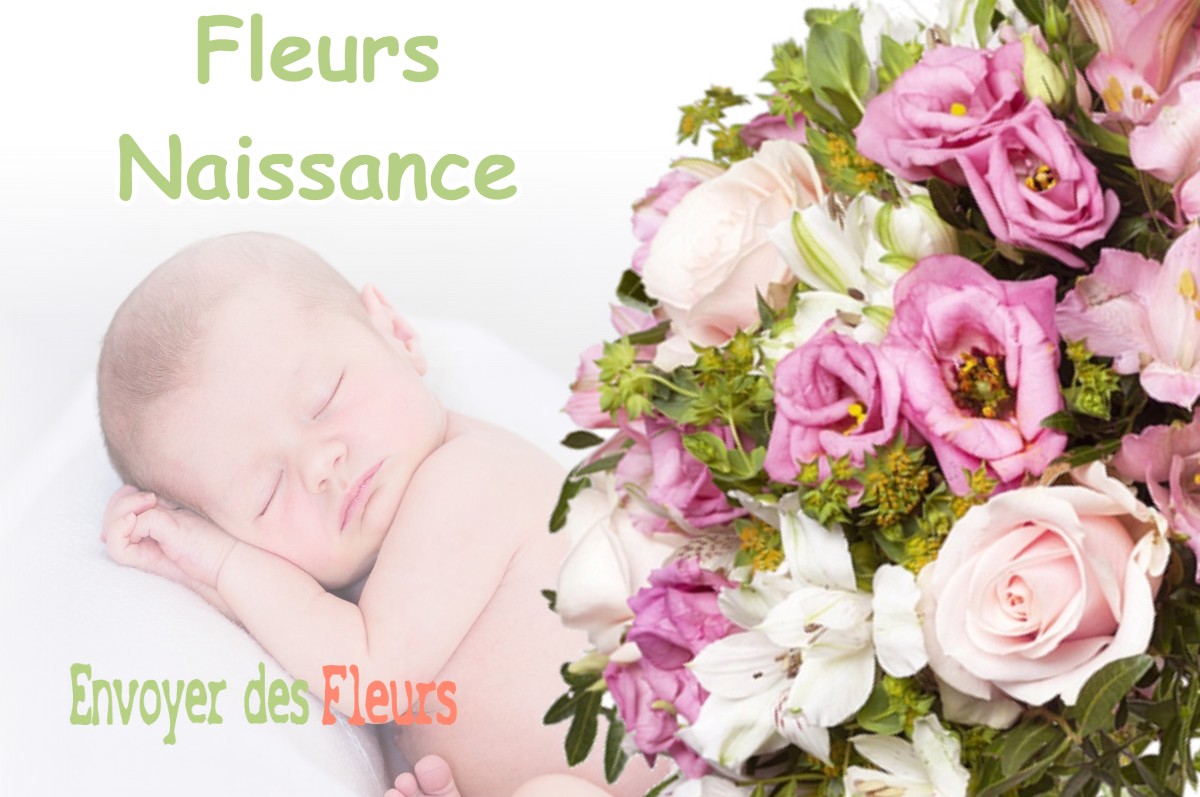 lIVRAISON FLEURS NAISSANCE à MARCILLOLES